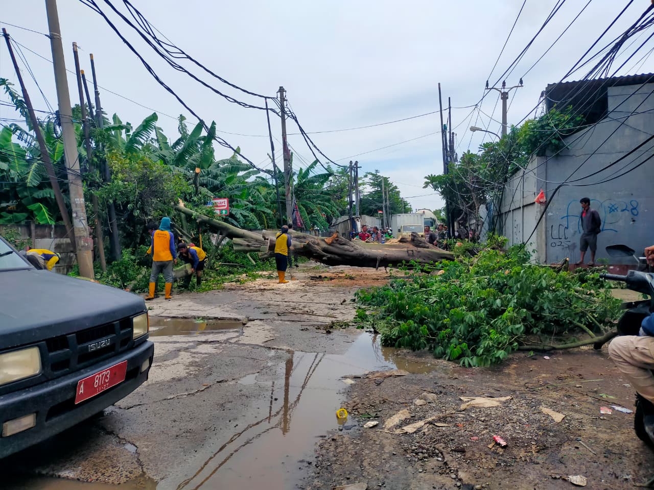 WhatsApp Image 2026-02-08 at 17.50.59