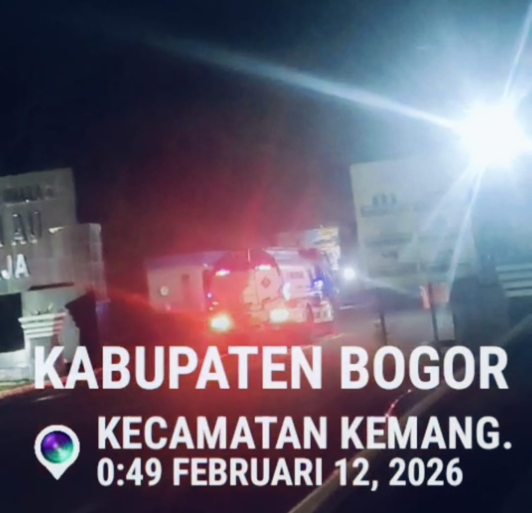 WhatsApp Image 2026-02-12 at 20.03.15